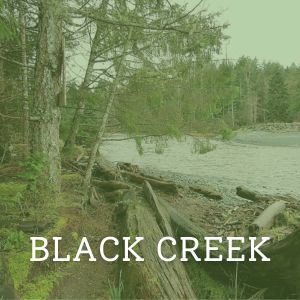 Black Creek button
