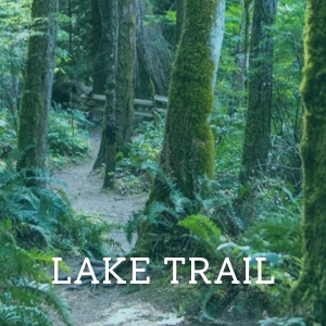 Lake Trail button