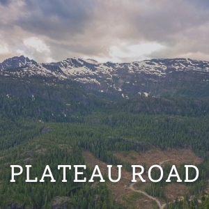 Plateau Road button