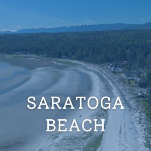 Saratoga button
