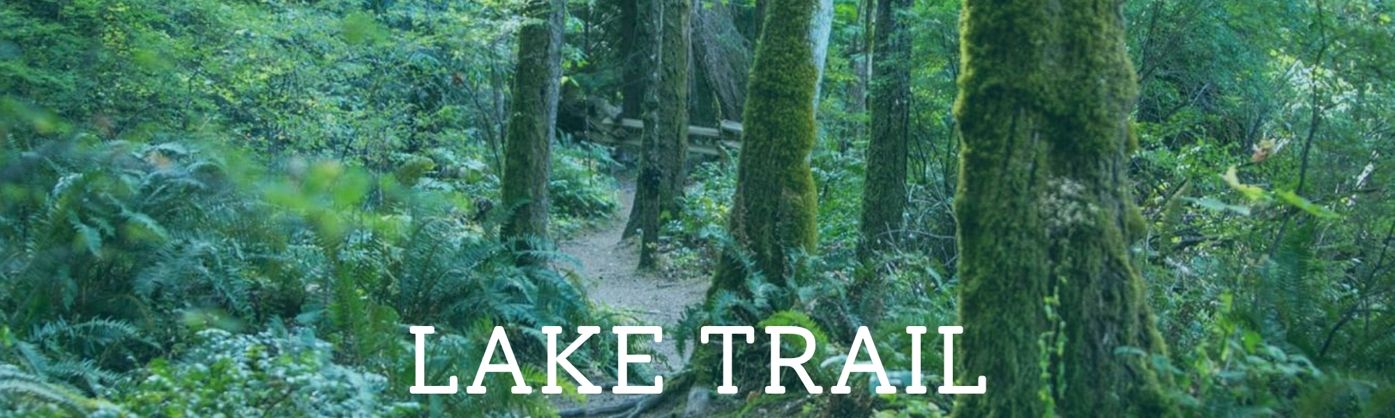 Lake Trail header